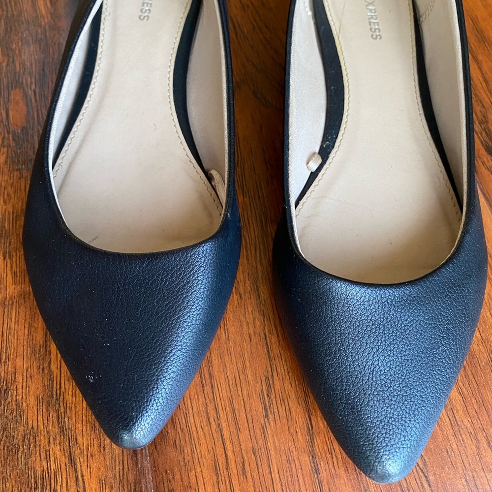 Express Sleek Pointed Toe Flats